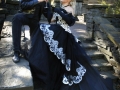 Die Fledermaus Ensemble10.jpg
